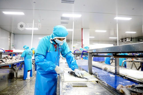 江西峽江 食品企業產銷兩旺，工業潤滑油科技研發并舉